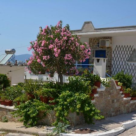 Traditional Summer House In Marmari Marmari (Evia) Exterior foto