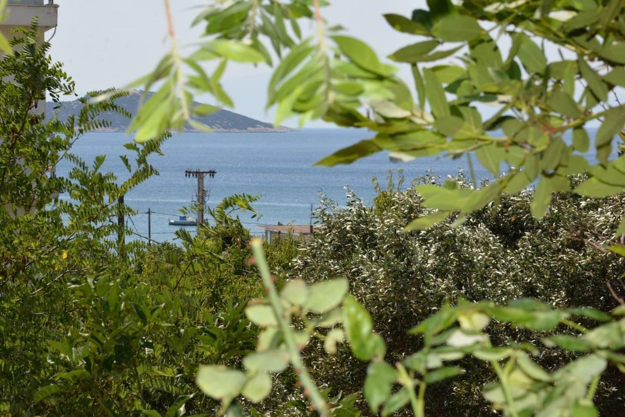 Traditional Summer House In Marmari Marmari (Evia) Exterior foto